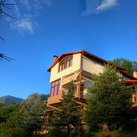 Militsa Guesthouse 나우사이마티아스 외부 사진
