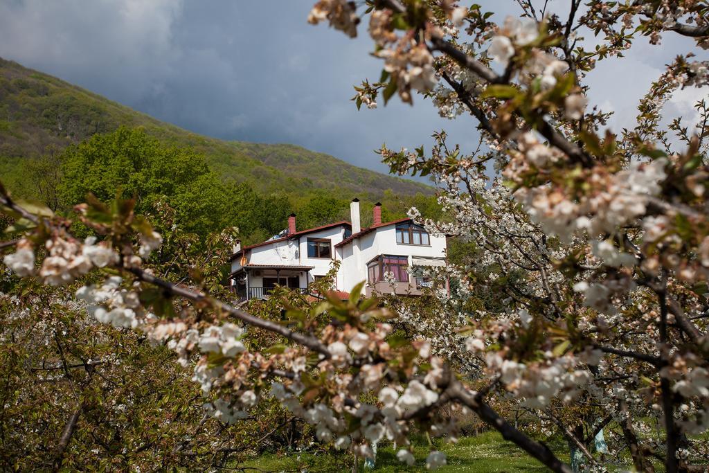 Militsa Guesthouse 나우사이마티아스 외부 사진