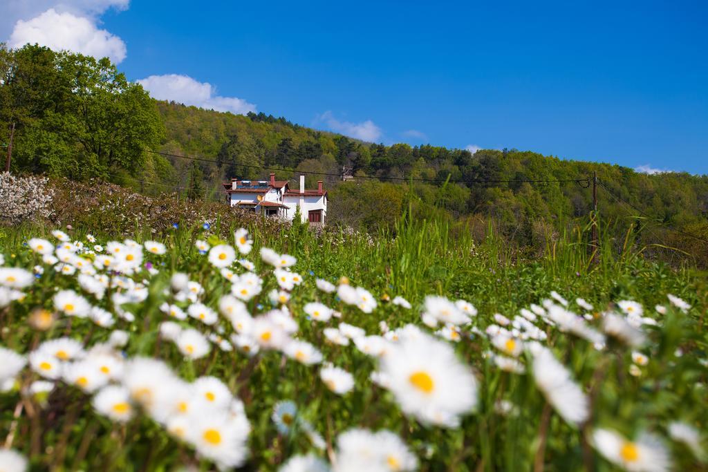 Militsa Guesthouse 나우사이마티아스 외부 사진